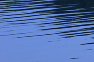 lake surface